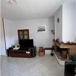 Apri Galleria Immagini